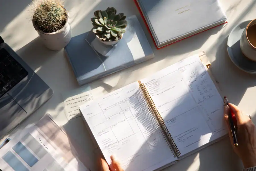 TikTok Monetization Tips